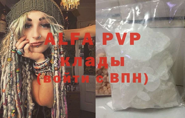 хмурый Алзамай