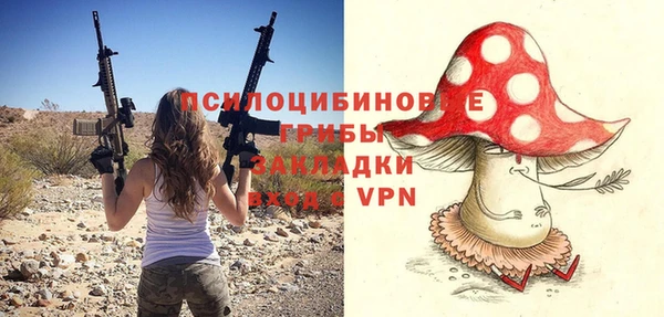 хмурый Алзамай