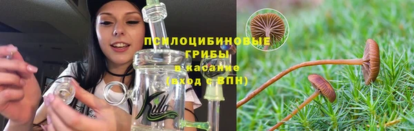 хмурый Алзамай