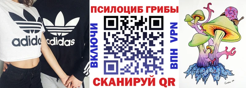 где продают наркотики  Балашов  гидра tor  нарко площадка официальный сайт  Псилоцибиновые грибы Psilocybe 