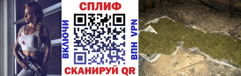KRAKEN как войти  Балашов  Шишки марихуана OG Kush  закладки 